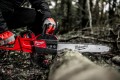 image (3).jpg